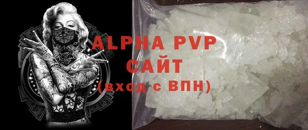 шишки Беломорск