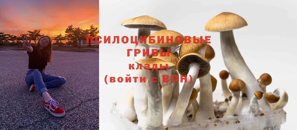 шишки Беломорск