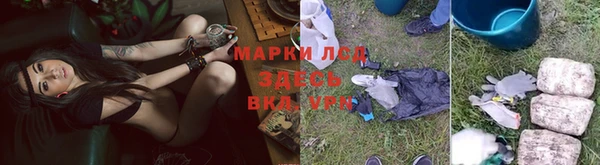 ALPHA PVP Белокуриха