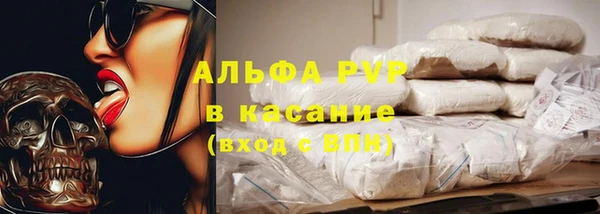 шишки Беломорск