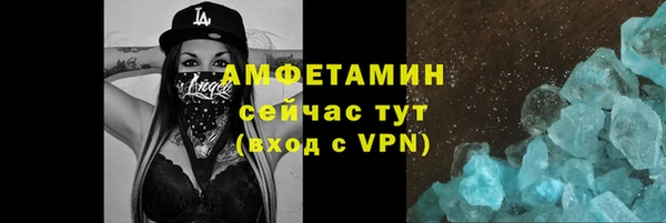 шишки Беломорск