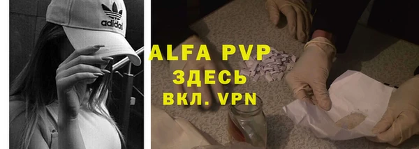 ALPHA PVP Белокуриха