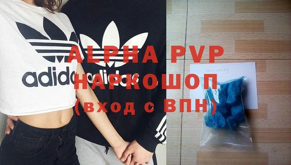 шишки Беломорск