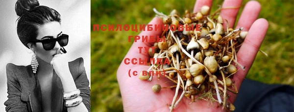 ALPHA PVP Белокуриха