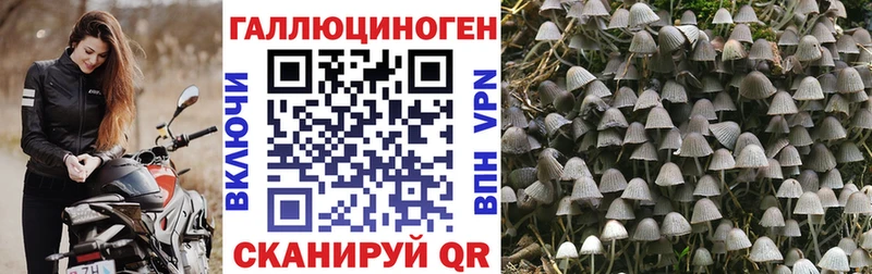 Галлюциногенные грибы прущие грибы  Ершов 