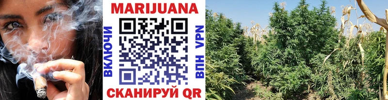 что такое   Ершов  omg ССЫЛКА  Марихуана White Widow 